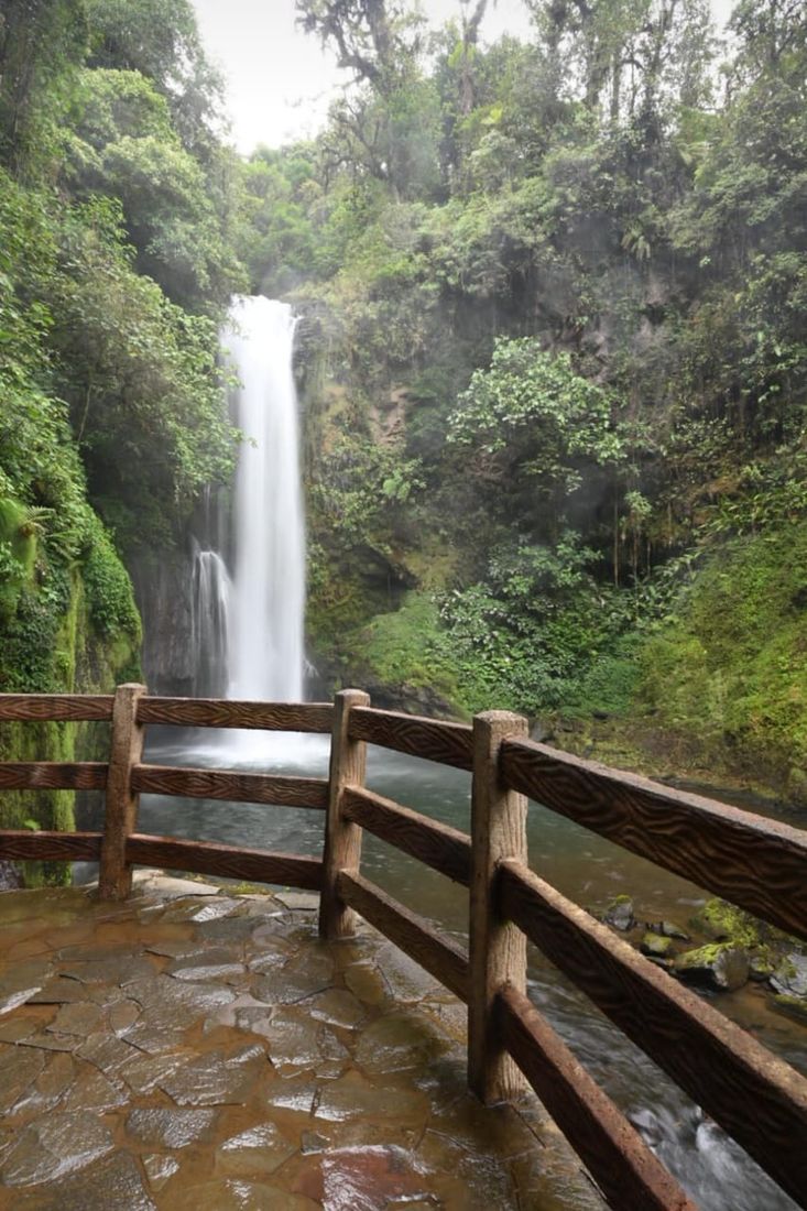 Coffee and nature tours